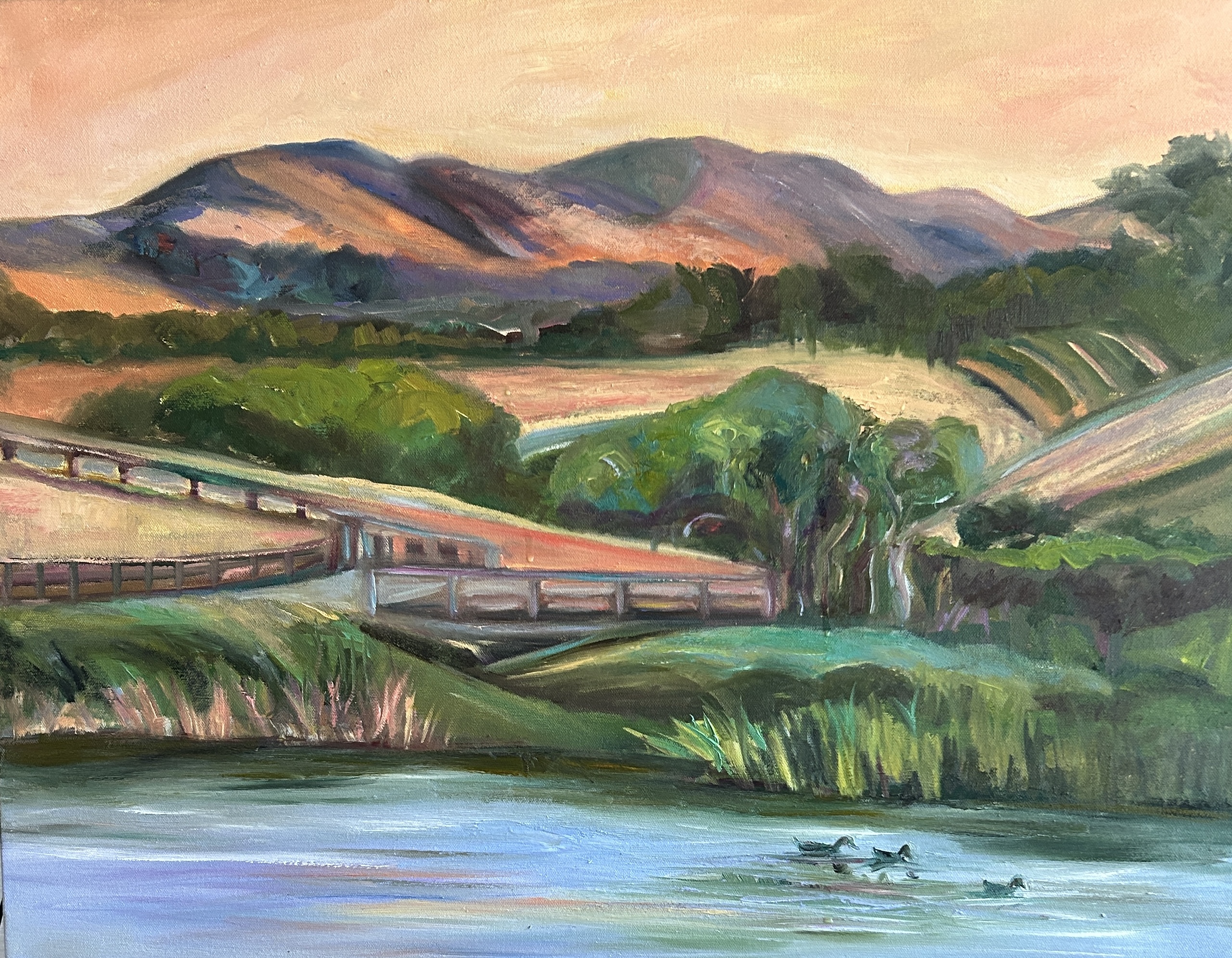 View from La Lomita Ranch