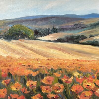 Central Coast Poppies-commissioned piece